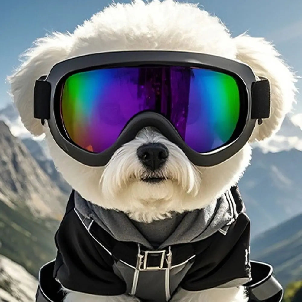Summer Style Dog Goggles Adjustable Strap UV Protection