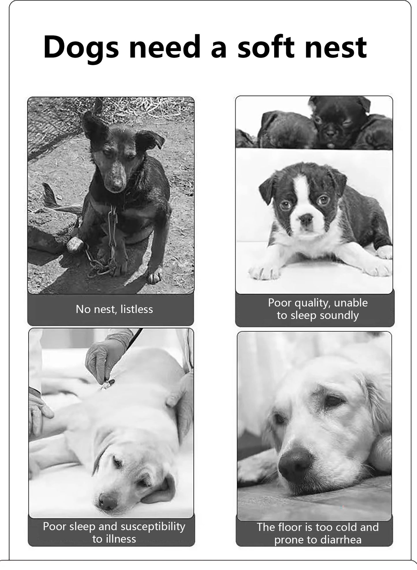 Waterproof Dog Bed 600D Oxford Pet Dogs Beds for All Seasons