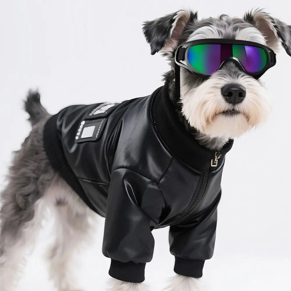 Summer Style Dog Goggles Adjustable Strap UV Protection