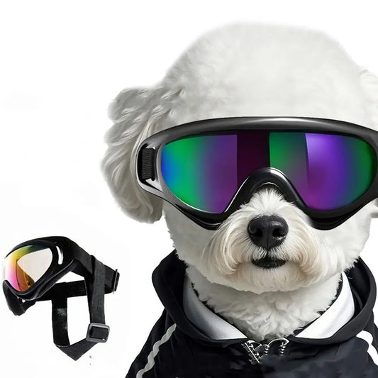 Summer Style Dog Goggles Adjustable Strap UV Protection