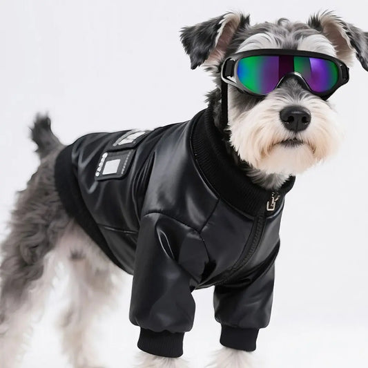 Summer Style Dog Goggles Adjustable Strap UV Protection